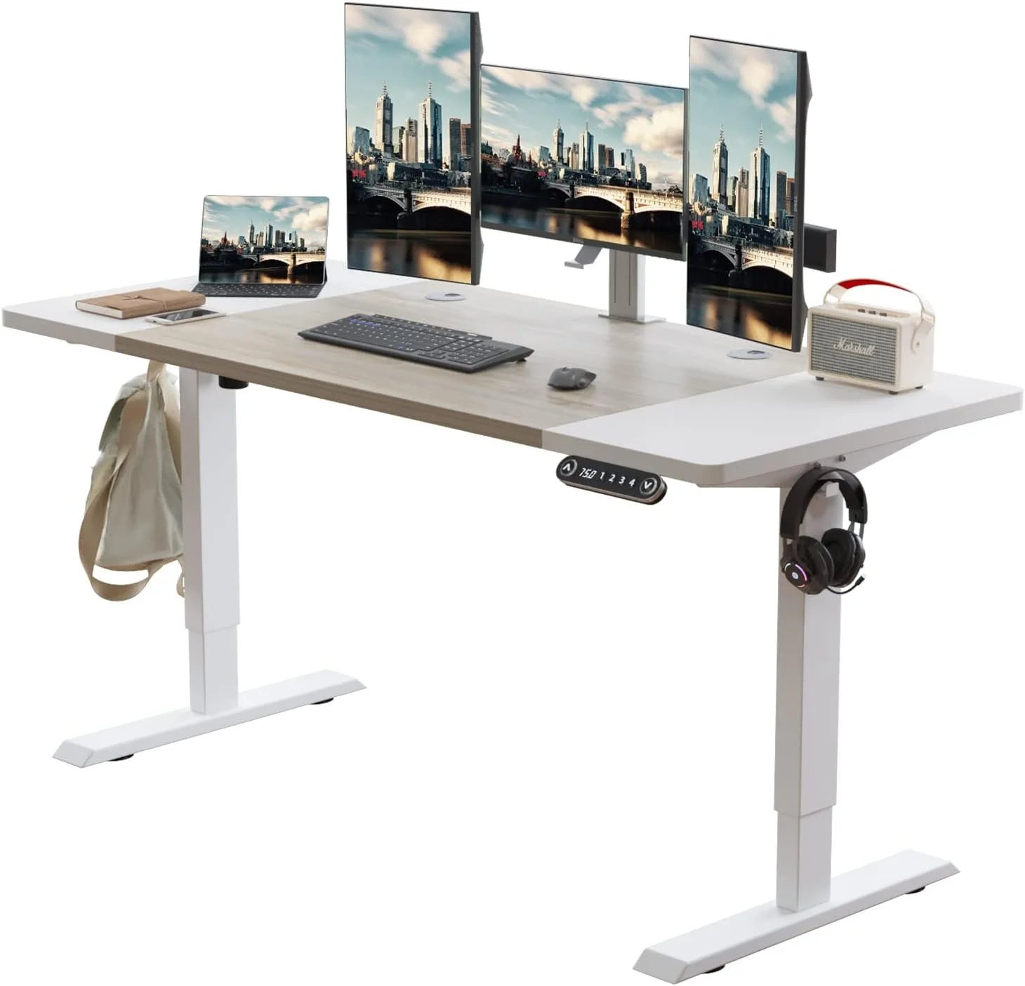 Radlove Electric Standing Desk
