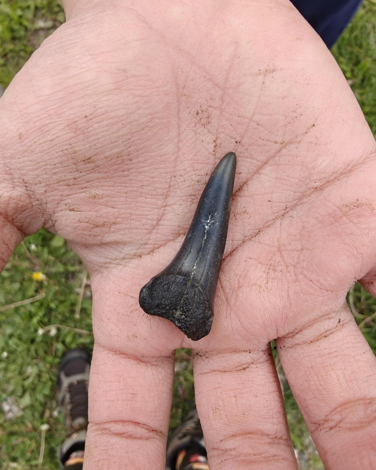 We found a shark tooth&hellip; in New Jersey. 🦈

Swipe ➡️

Today our Fort Lee Cub Scouts waded into a creek and uncovered real fossils&mdash;shark teeth, brachiopods, and more.

But the best part?

Kids discovering things for themselves.
Getting cur