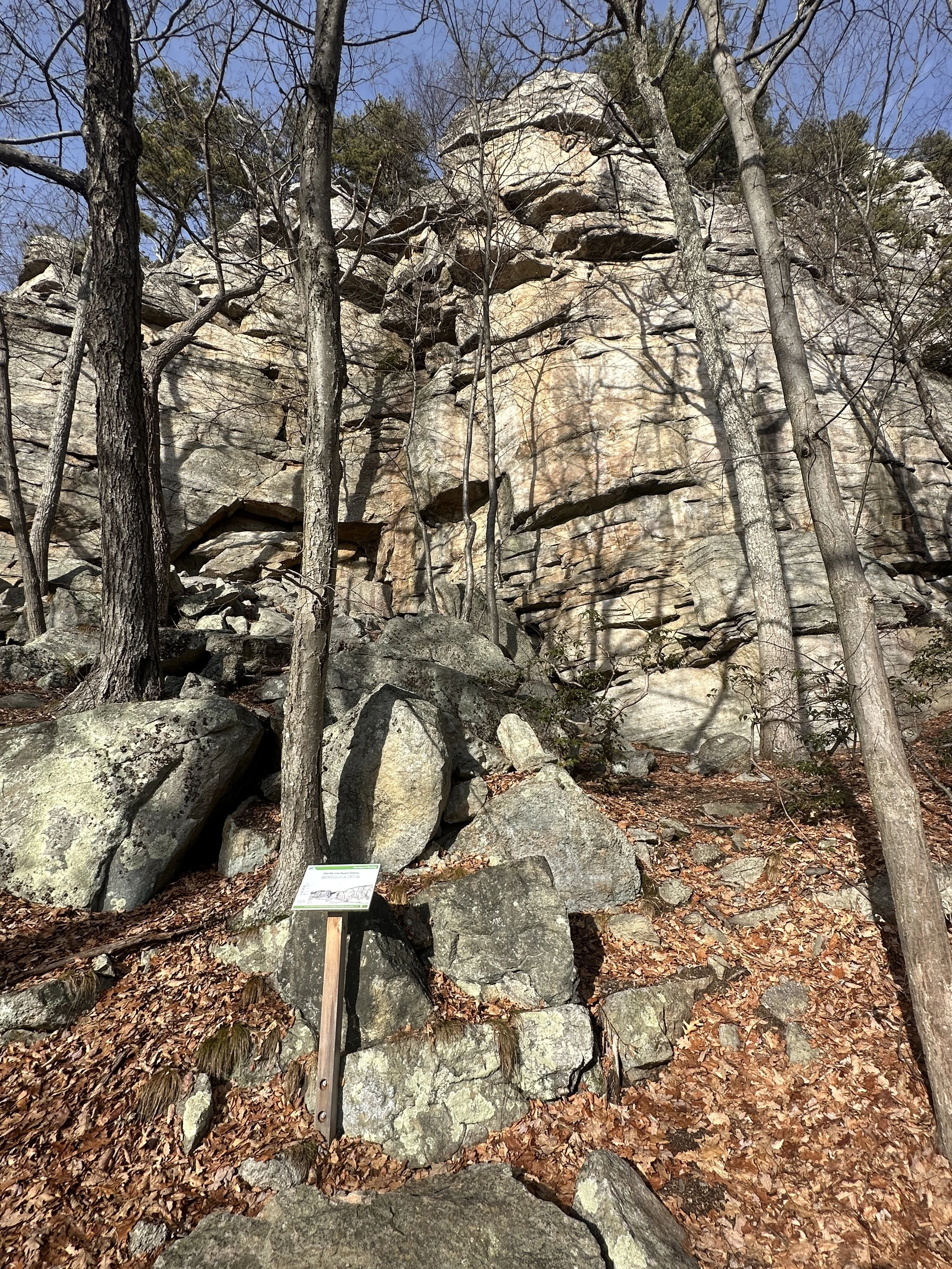 Mohonk Preserve - Undercliff/Overcliff