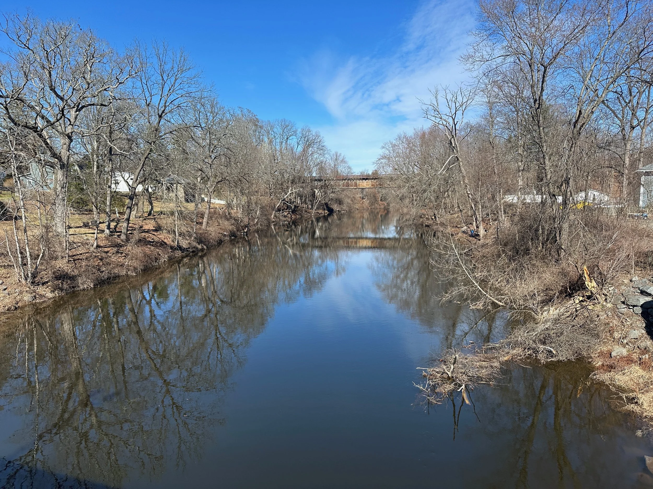Neversink Bridge Perspective
