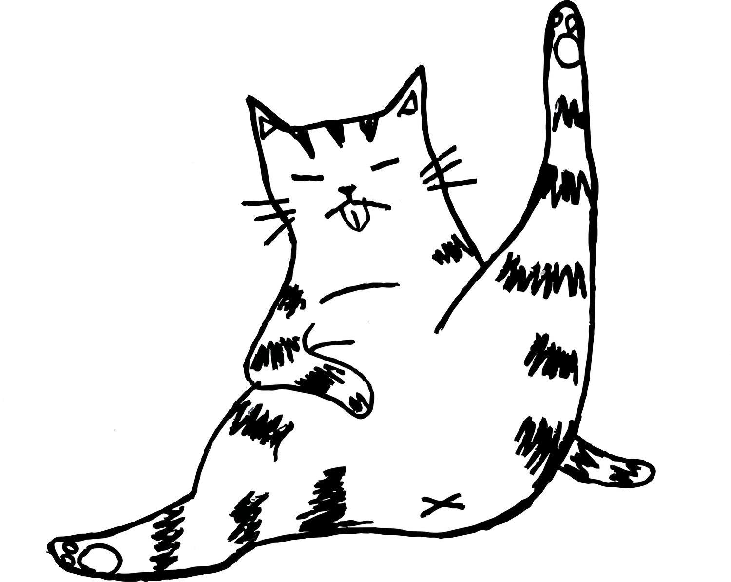 Cats falling from space