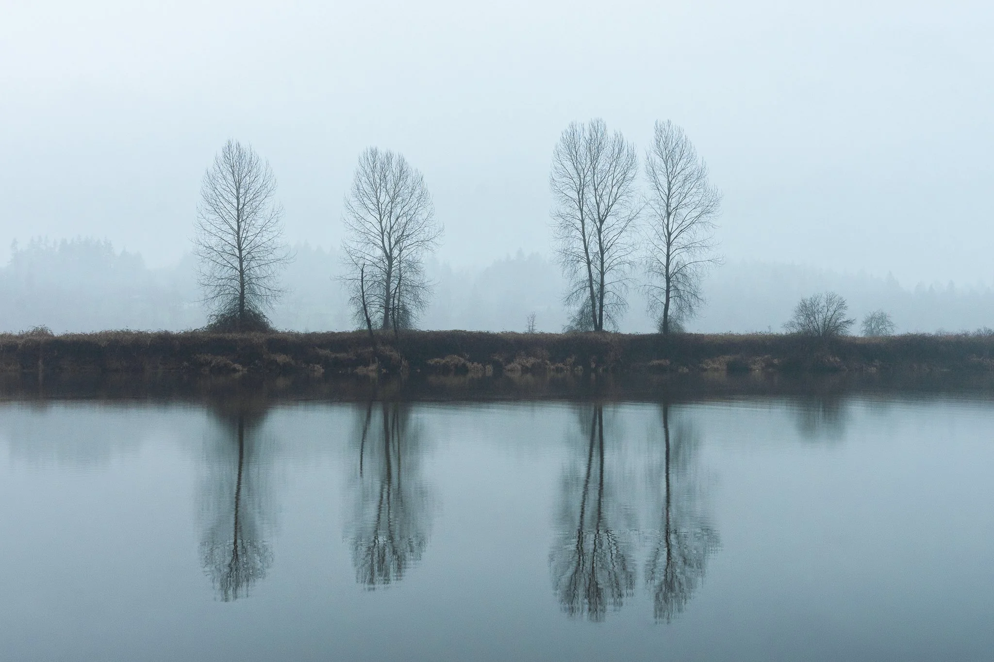 River-1.jpg