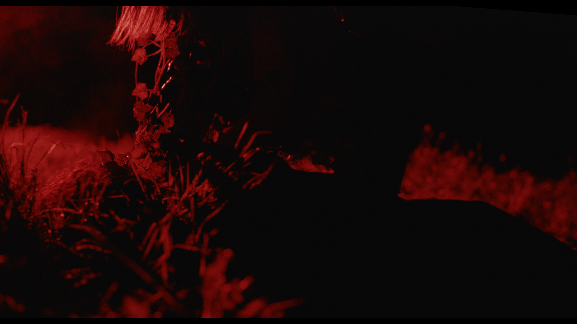 Timeline 5_00_18_06_14.png