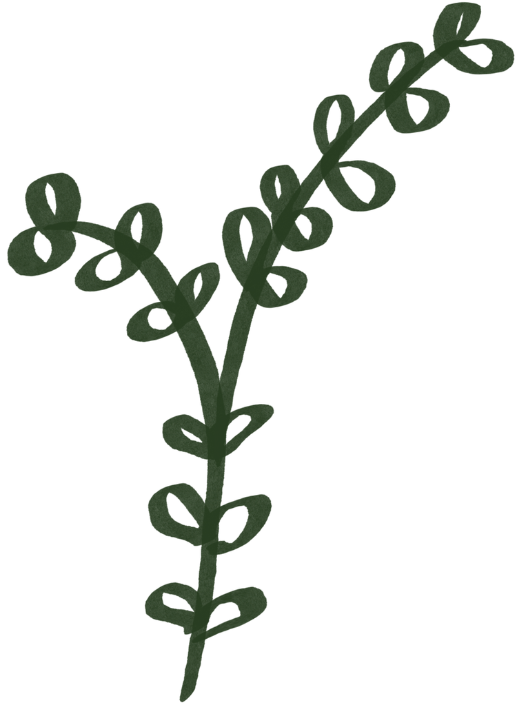 Untitled_Artwork+48.webp (Copy)