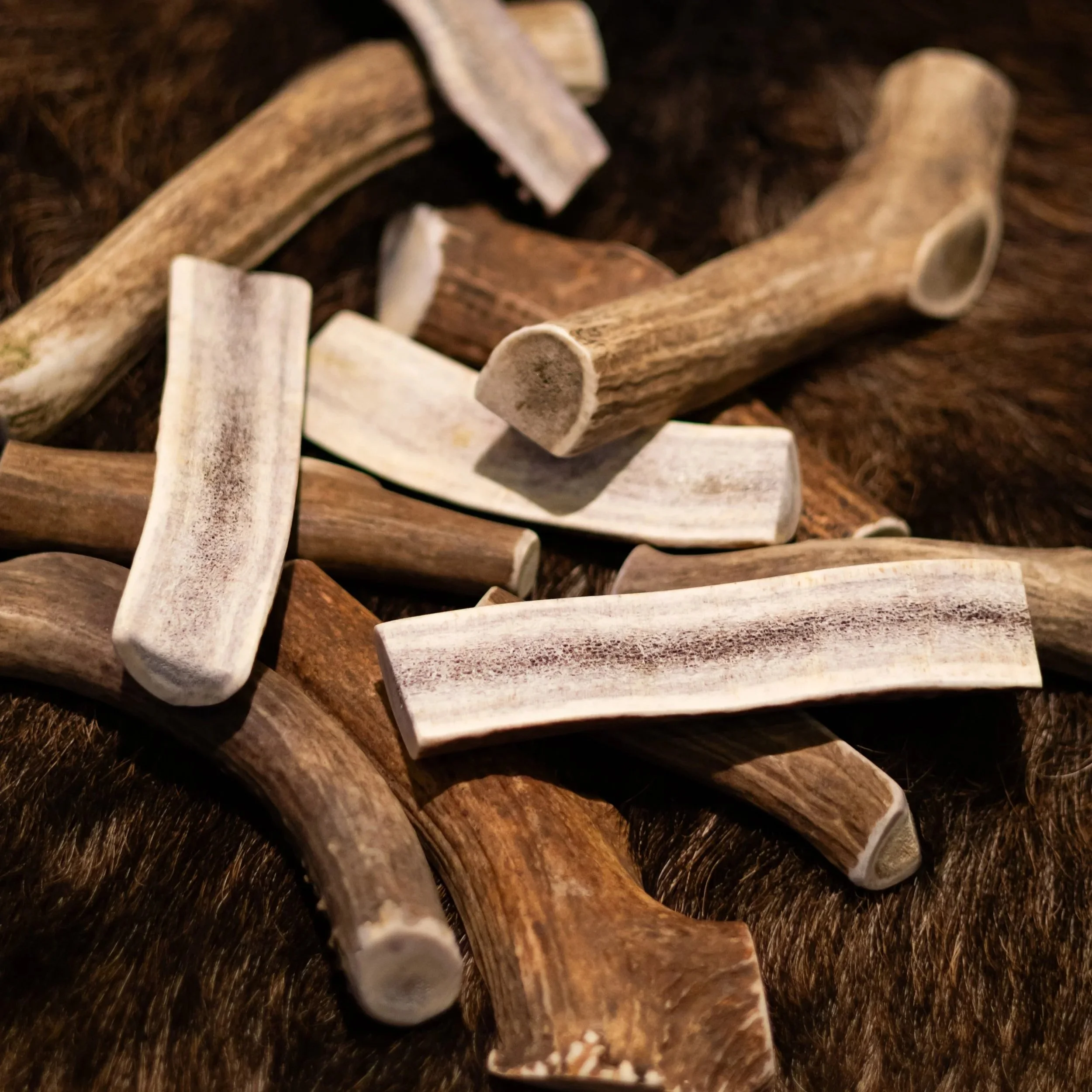 antler+group+1.jpg