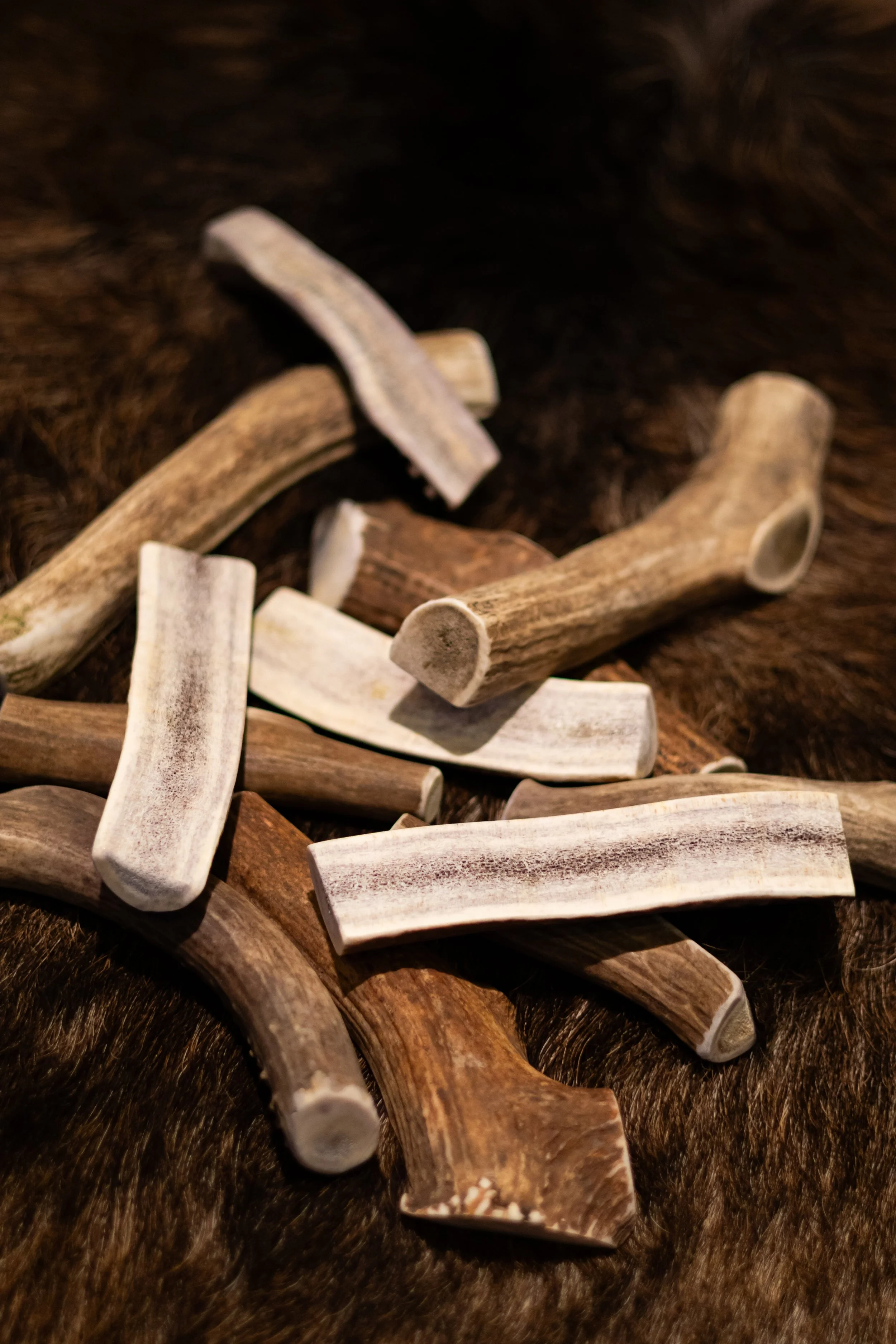 Antler Dog Chews