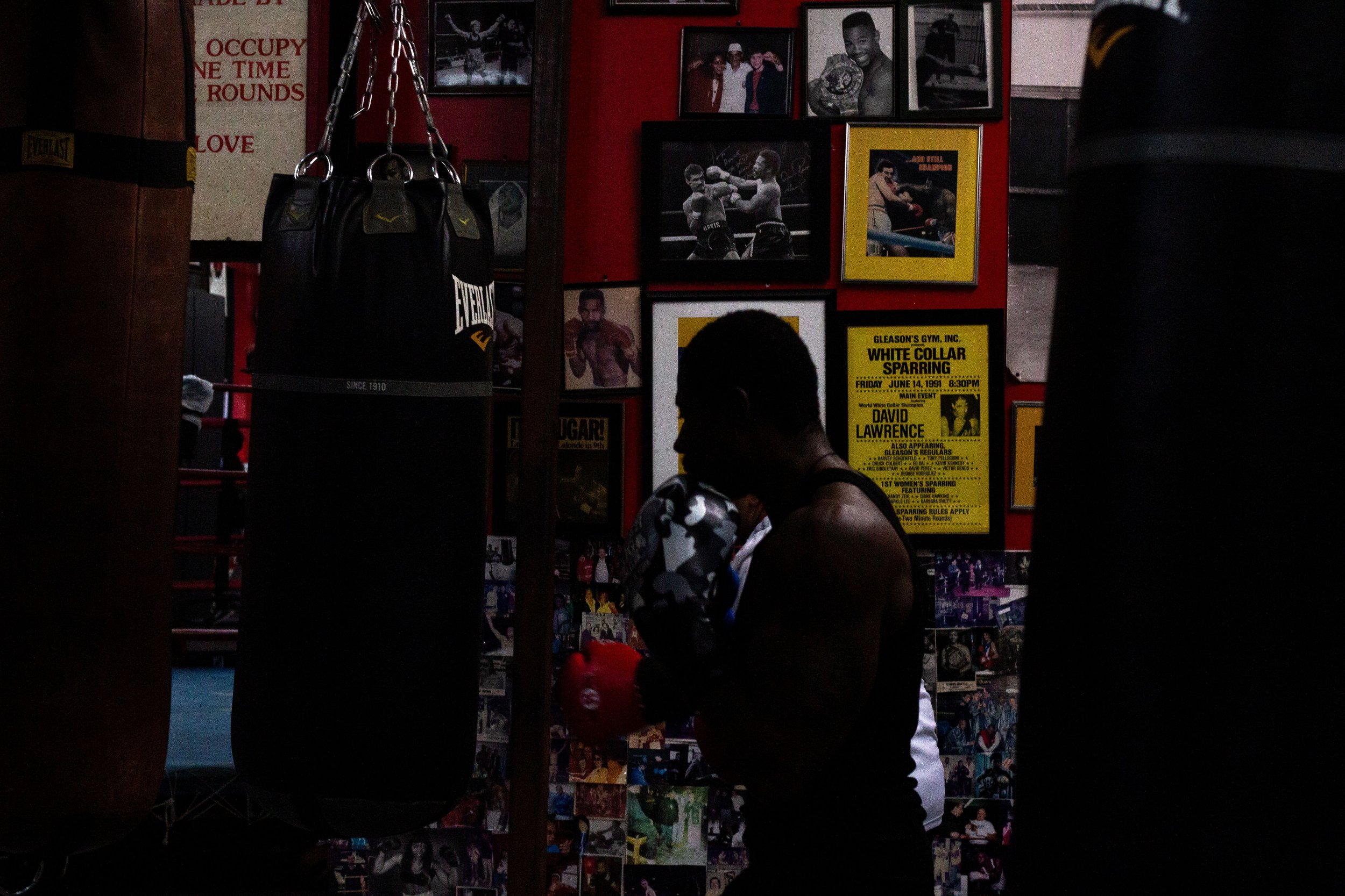 Abigail Ekue     @nativecreative_photo
American Black Boxer