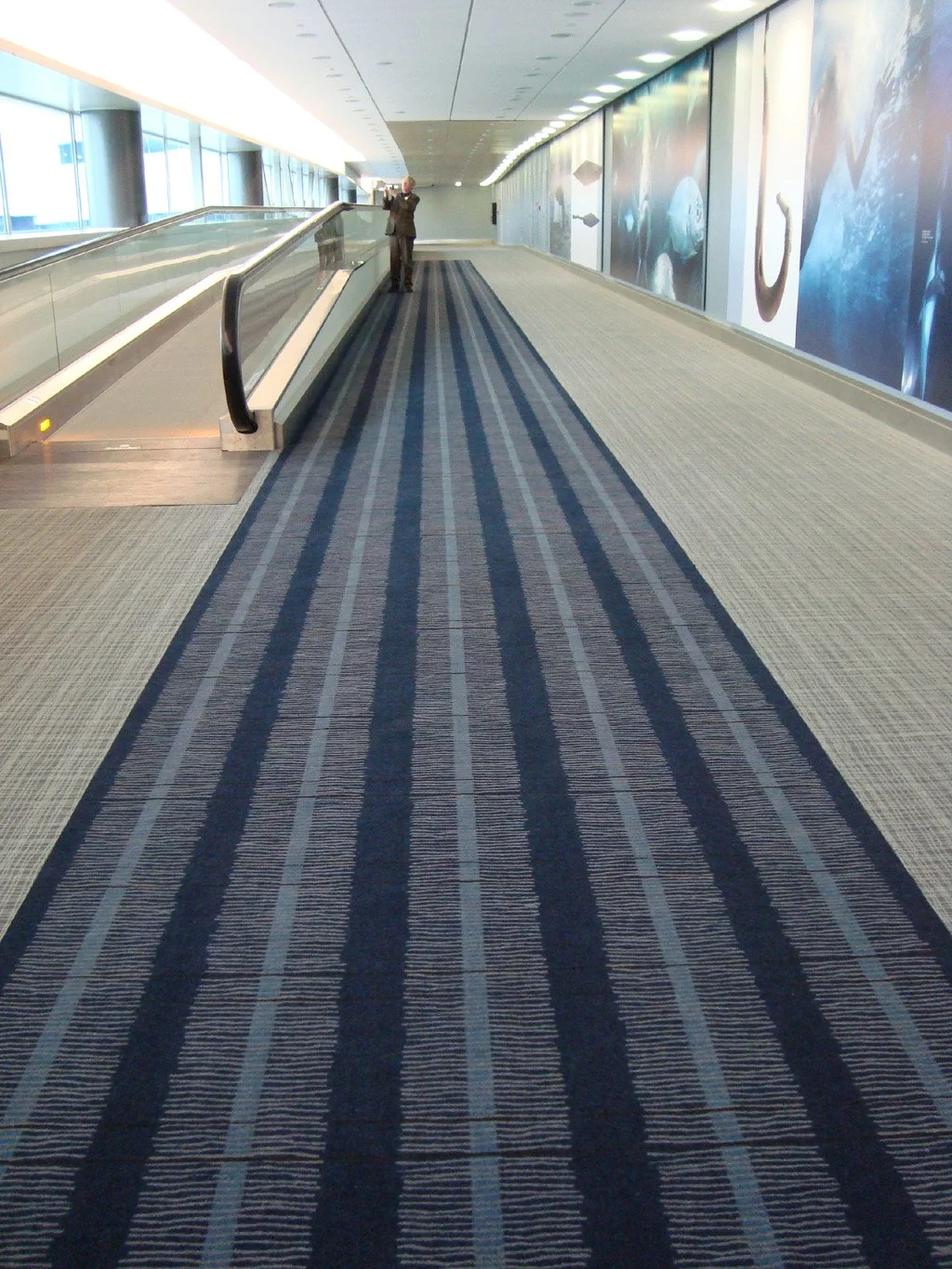 AIA blue runner 2.jpg