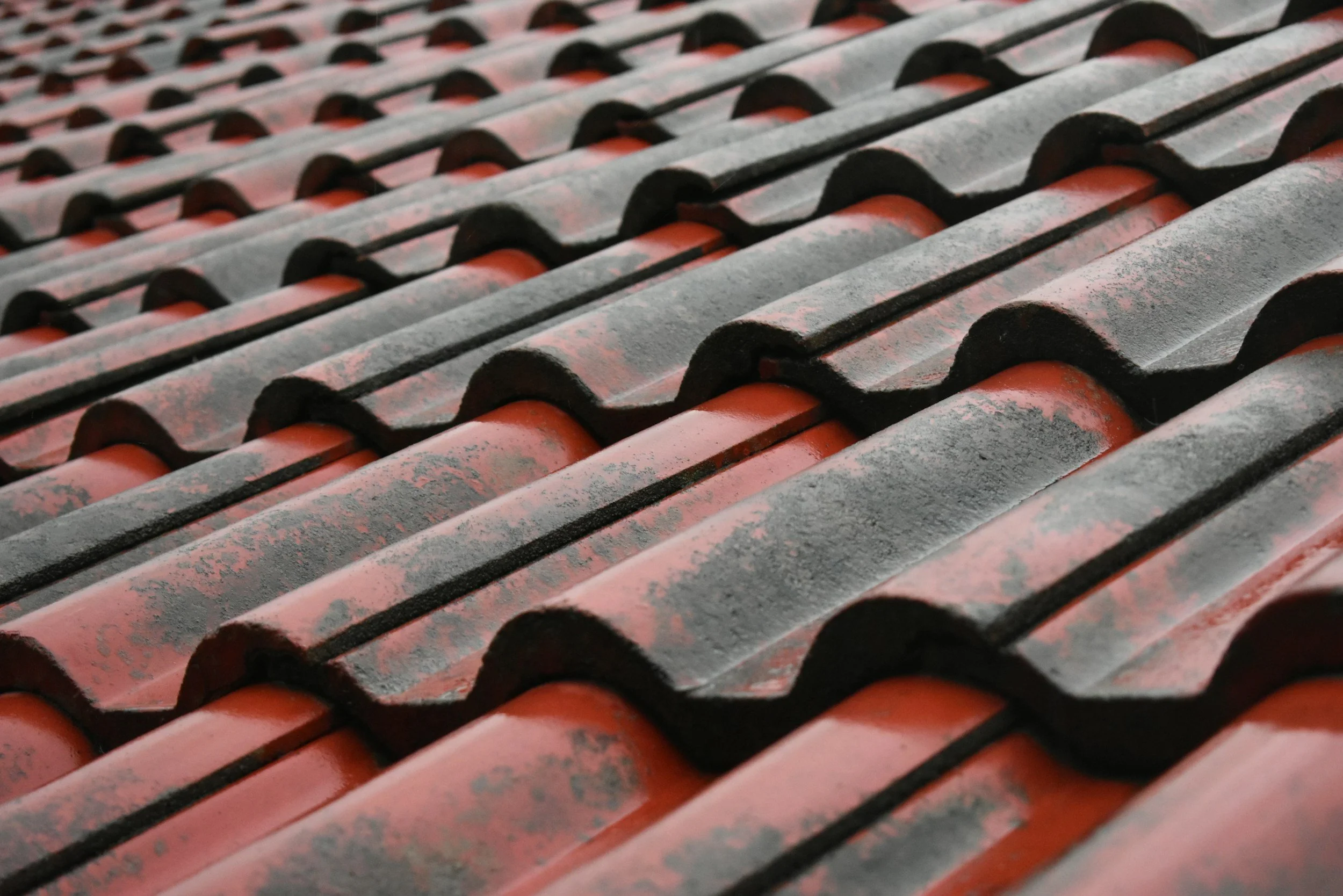 Tile roof need of maintenance