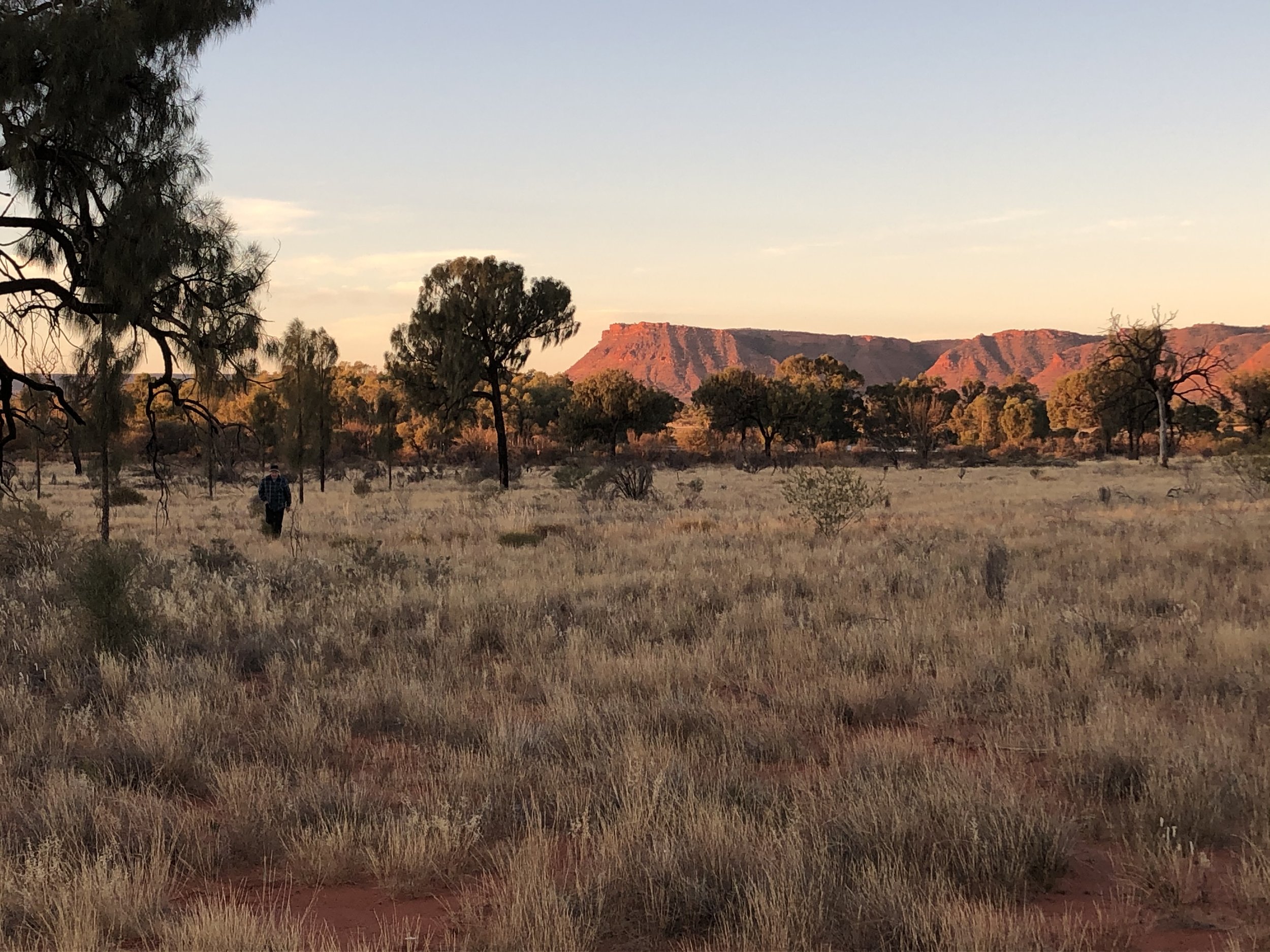 A landscape view of a desert area with dry grass, trees, and red rock formations in the background during sunset.