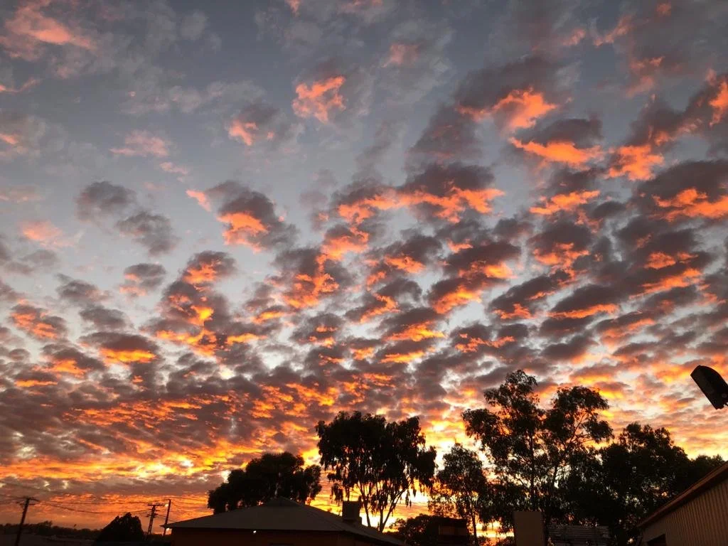 Sunset sky with orange and pink clouds above silhouetted trees and rooftops.