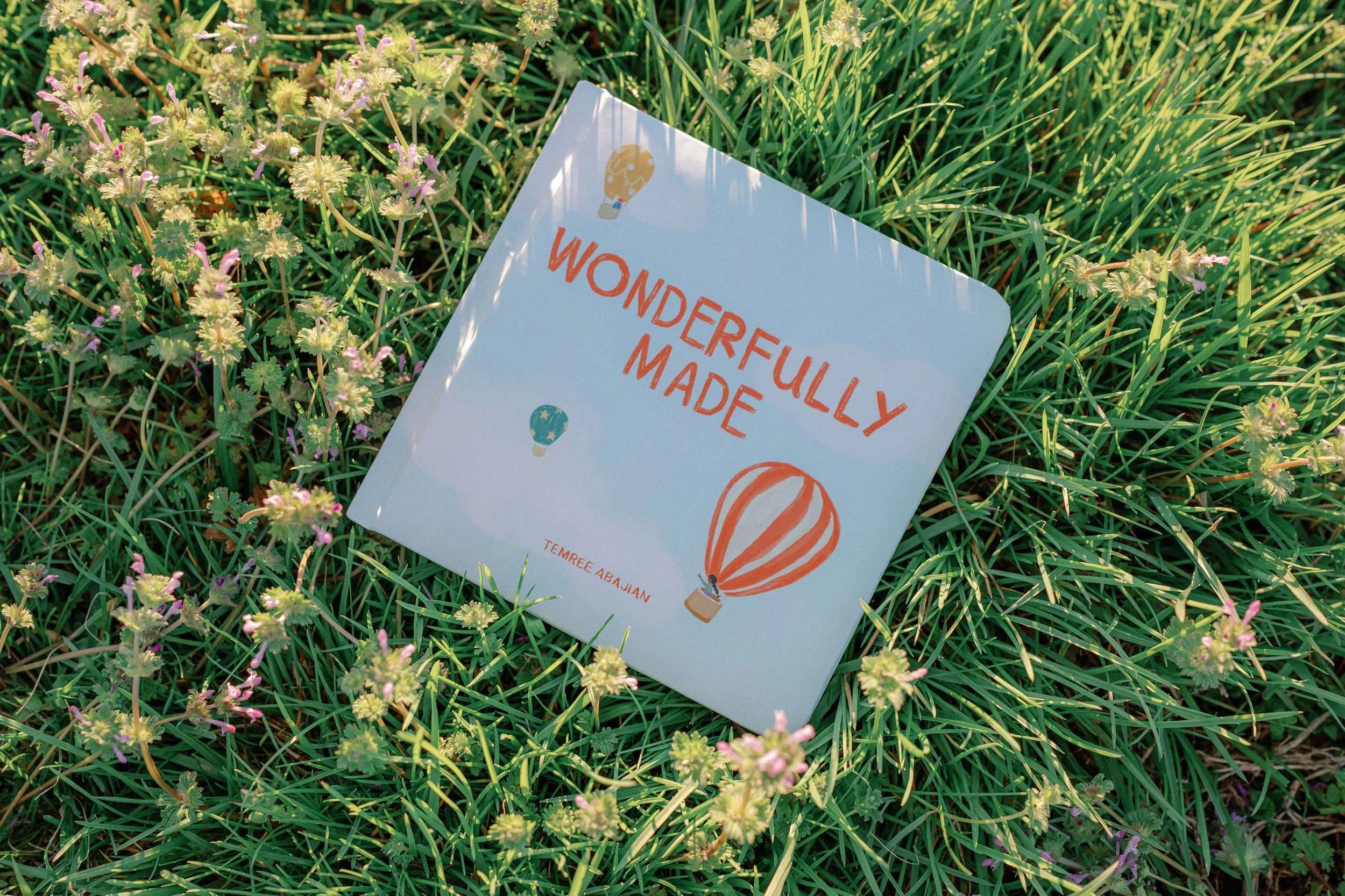 Pre-Order Wonderfully Made