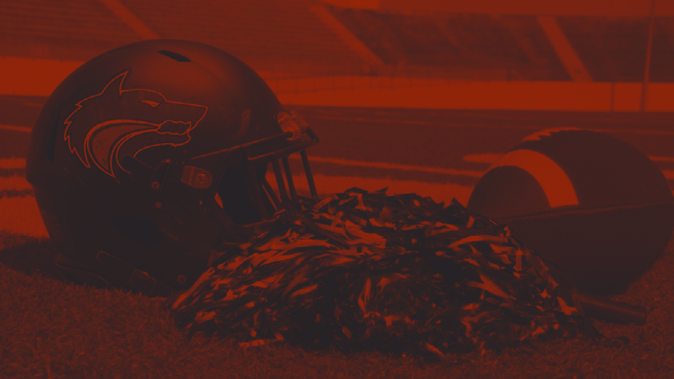 Redwolves Helmet with Football and Pom Poms