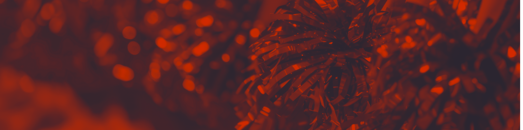 Sparkly pom poms