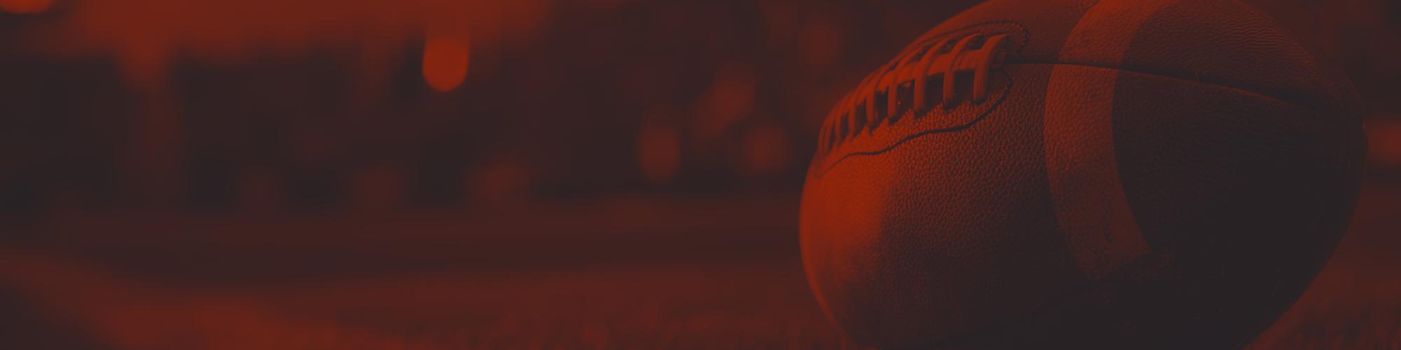 Website Banner 2000x500-16.png