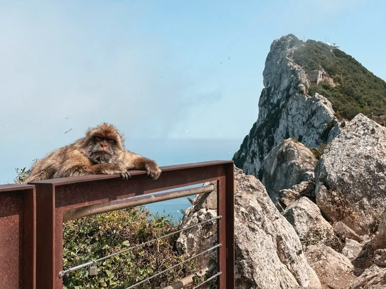 Gibraltar Itinerary: How to Spend 5 Days (Full Travel Guide)