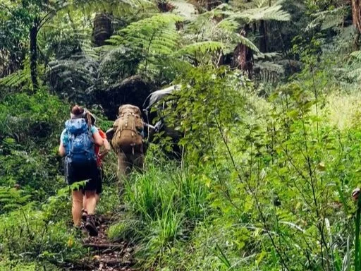 Walking the Kokoda Track: What to Expect, Tips and Everything You Need to Know