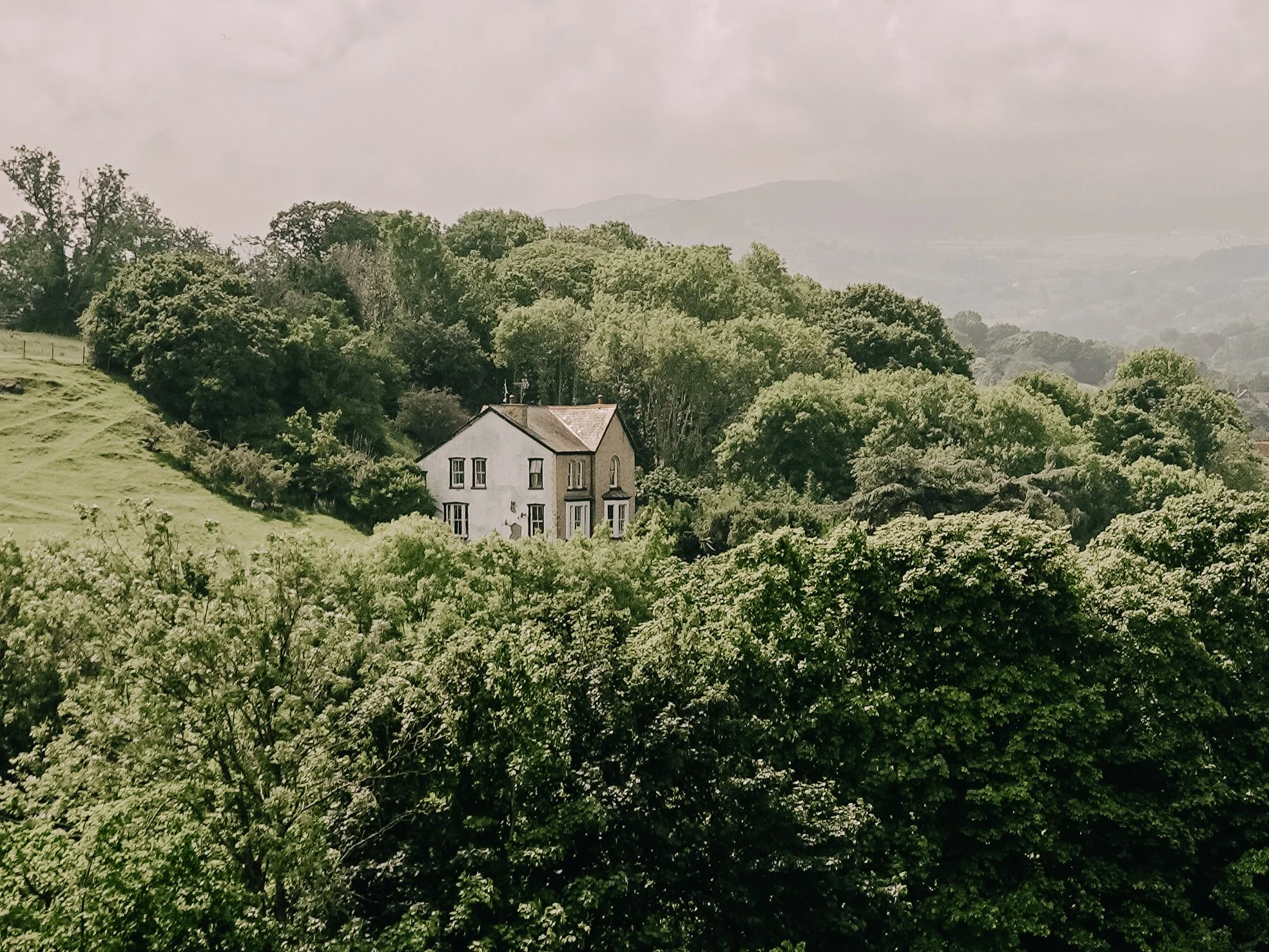 A house situated on a hillside surrounded by dense green trees under a cloudy sky.