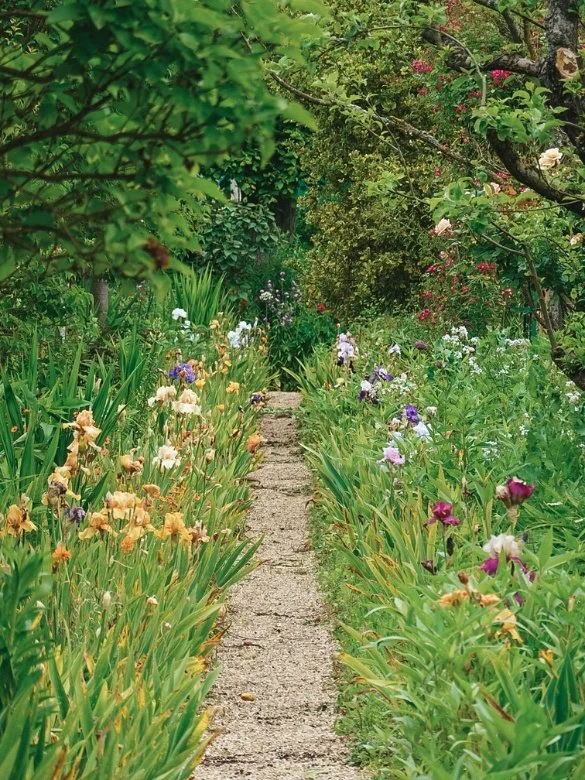The Flower Garden at Monets House and Gardens
