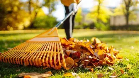 Person raking fallen leaves in a yard during autumn.