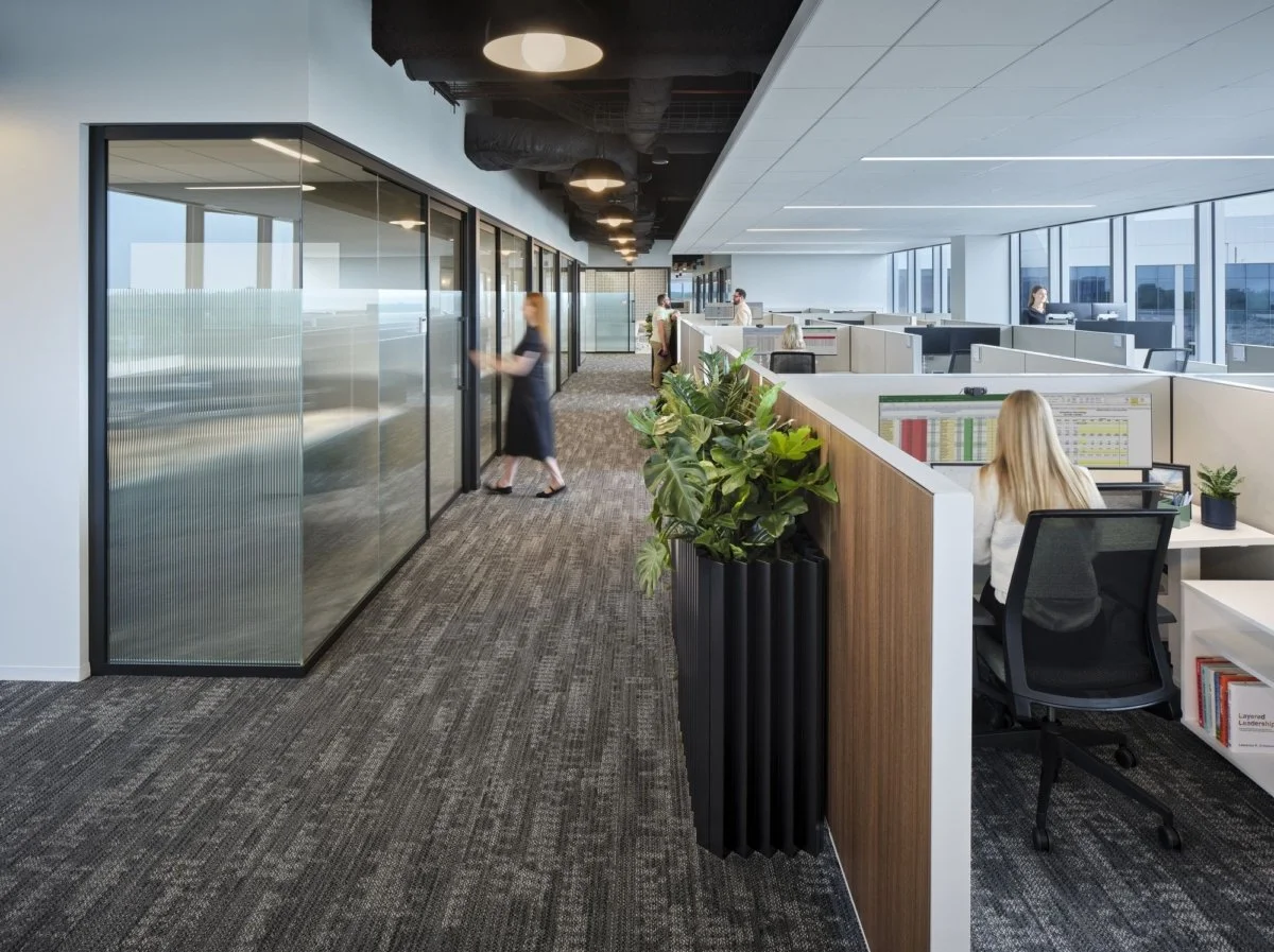 Modern office with glass-walled conference room on the left, open workspace on the right with employees working at desks, large windows providing natural light, and indoor plants.