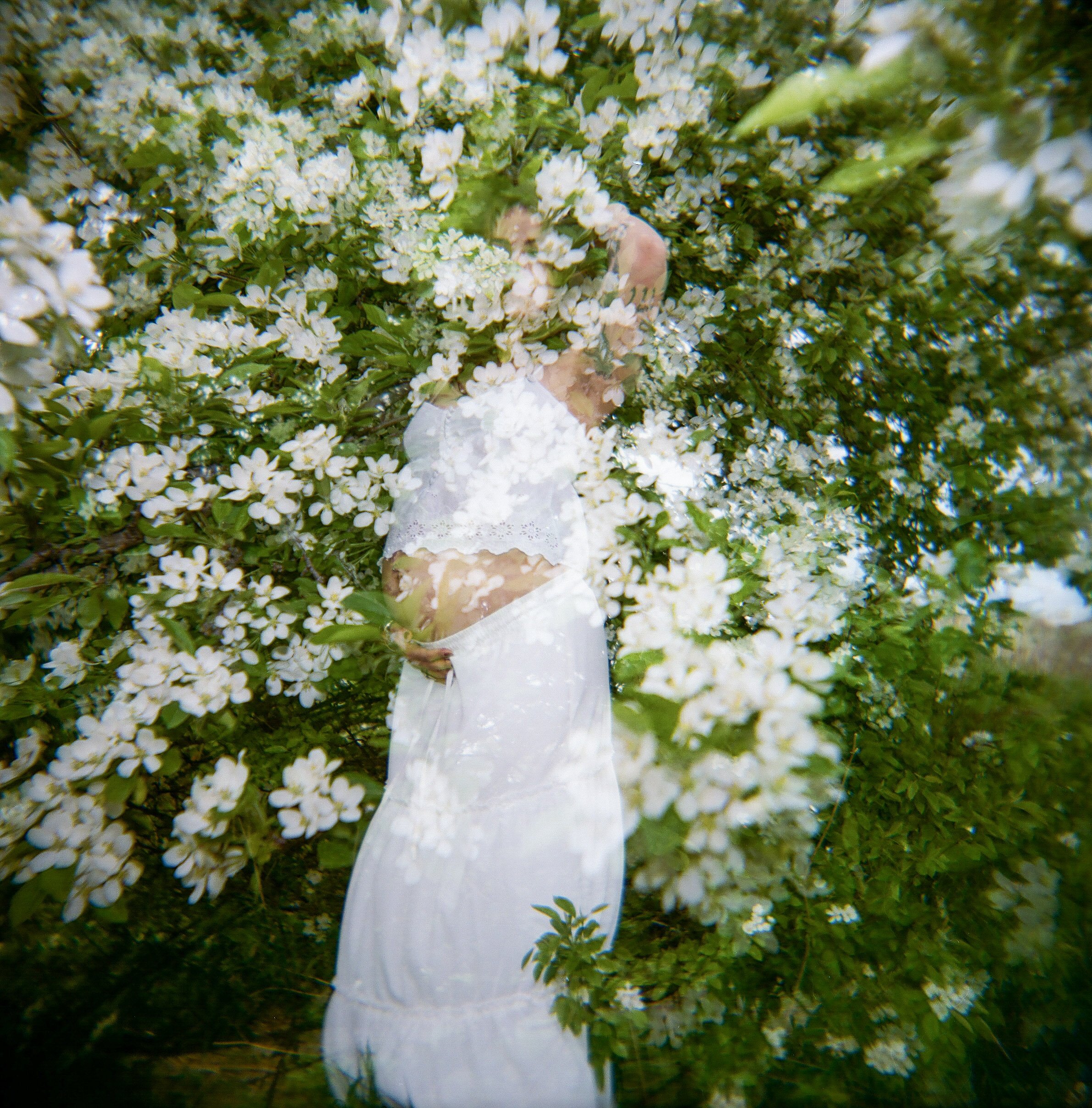 A woman in a white dress and veil standing among white flowers in an outdoor setting.