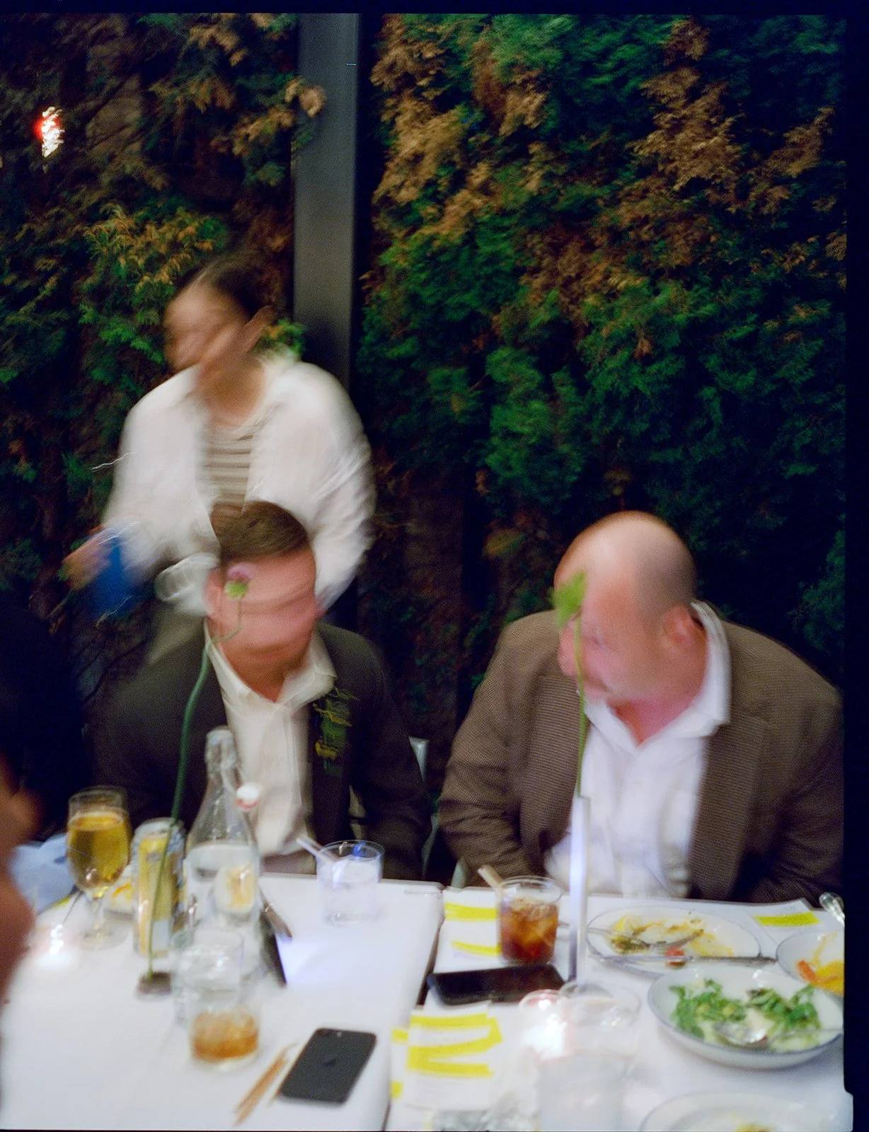 Two men seated at a dining table with food and beverages, a woman standing behind them, and a leafy green background, all appearing blurry.