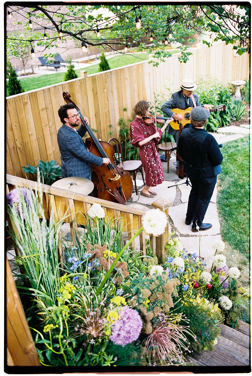 A small outdoor band performs in a garden with string lights overhead, surrounded by flowers and a wooden fence.