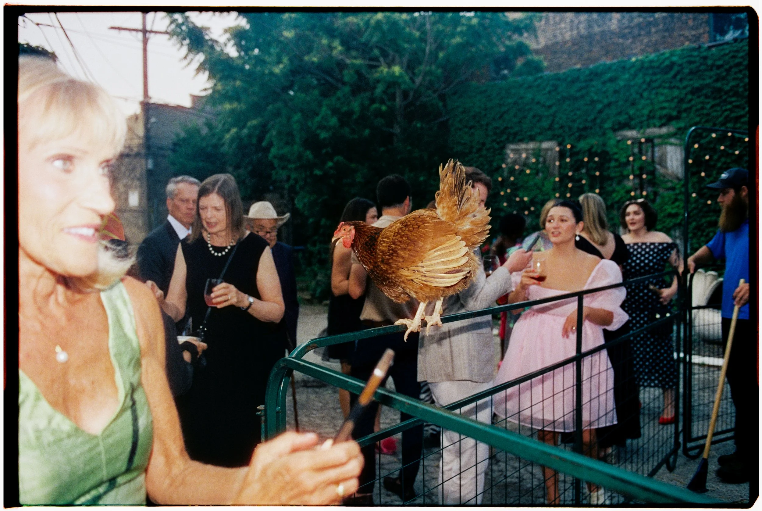 People gathered outdoors around a chicken, with a woman in a green dress in the foreground and others socializing in the background.