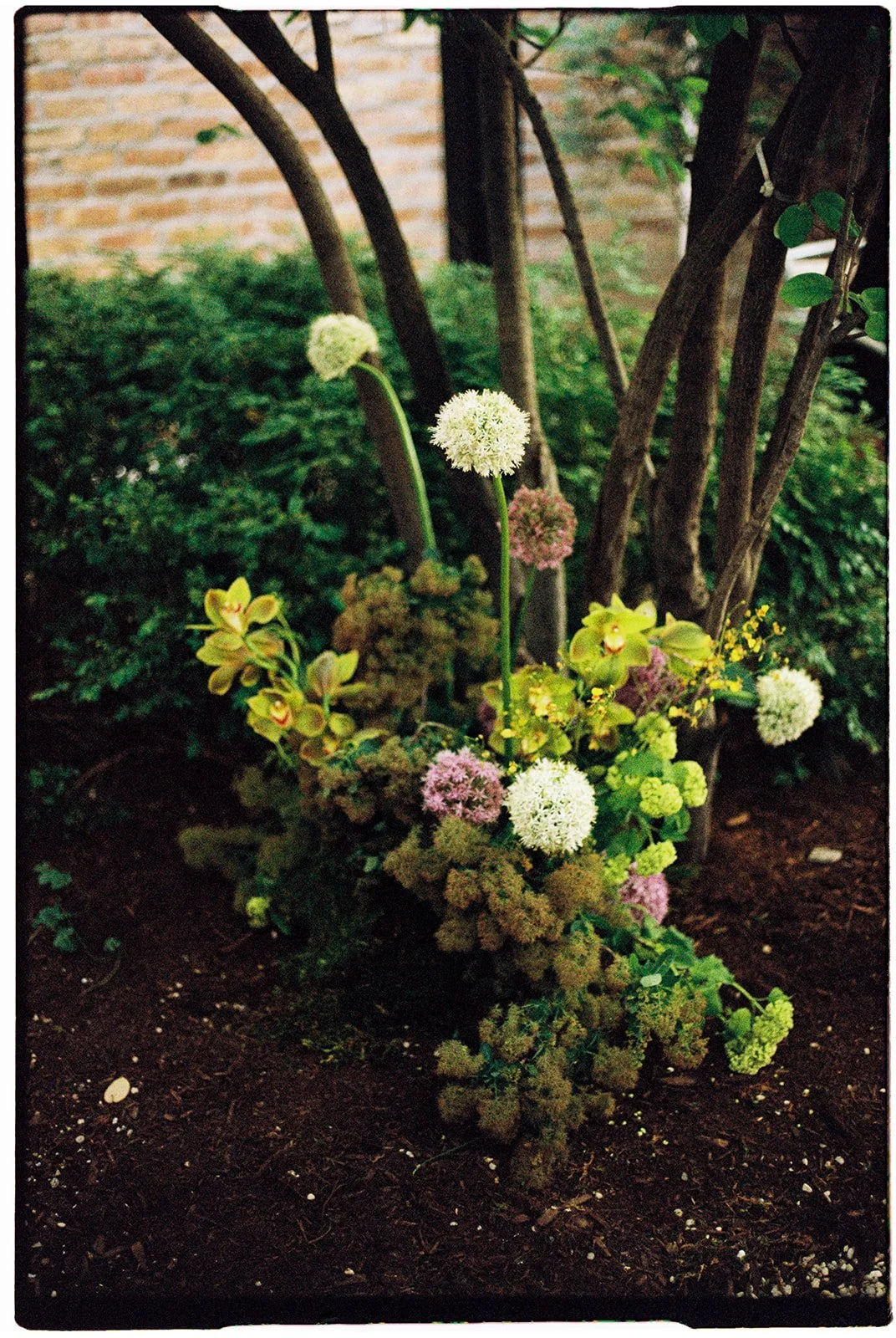 A small garden with various flowers and plants, including white, pink, and green blooms, surrounded by dark soil and backed by a brick wall and tree branches.