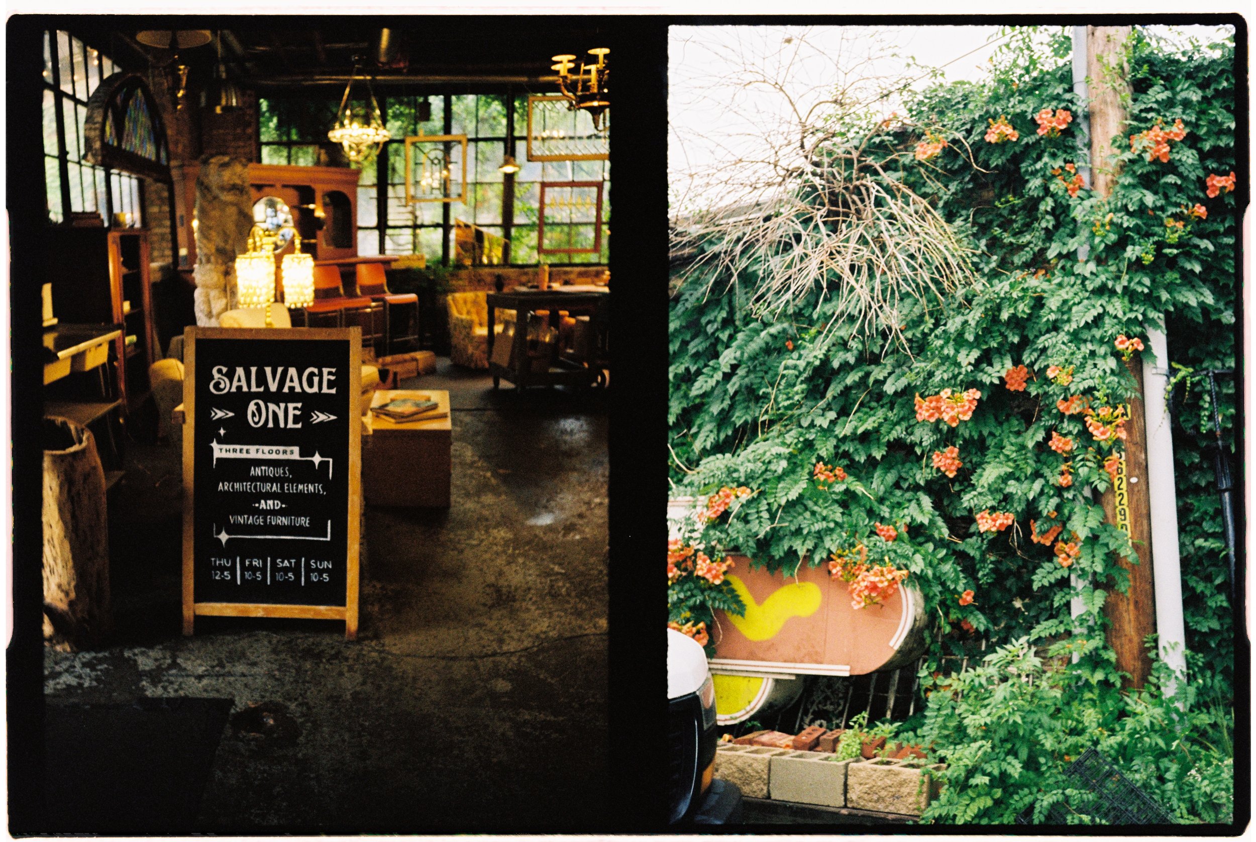 Interior of a vintage furniture store with a blackboard sign displaying store hours and offerings, and a large leafy plant with orange flowers outside the window.