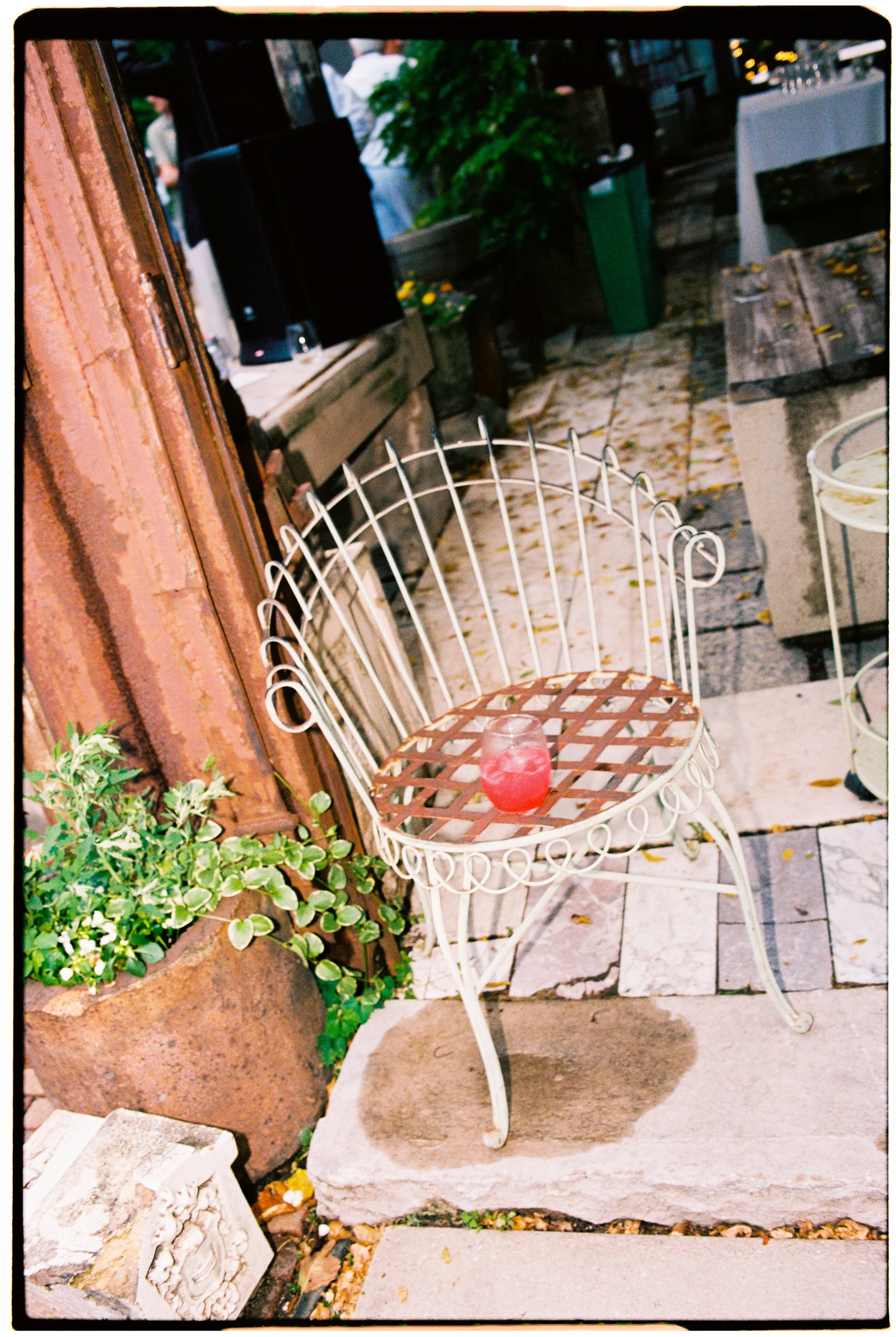 A white metal patio chair with a lattice design on the seat, placed on a stone step outside a building. On the chair, there is a glass of red-colored beverage. To the left, green plants and a large flowerpot with fallen yellow and brown leaves are vi