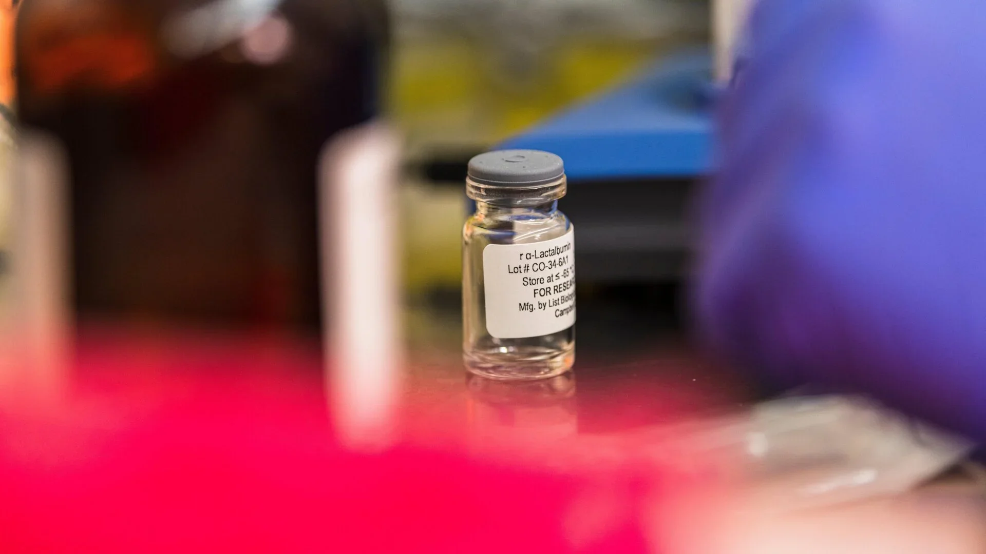 α-lactalbumin vaccine