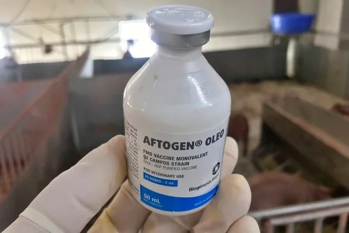 Aftogen Oleo O1 Campos vaccine