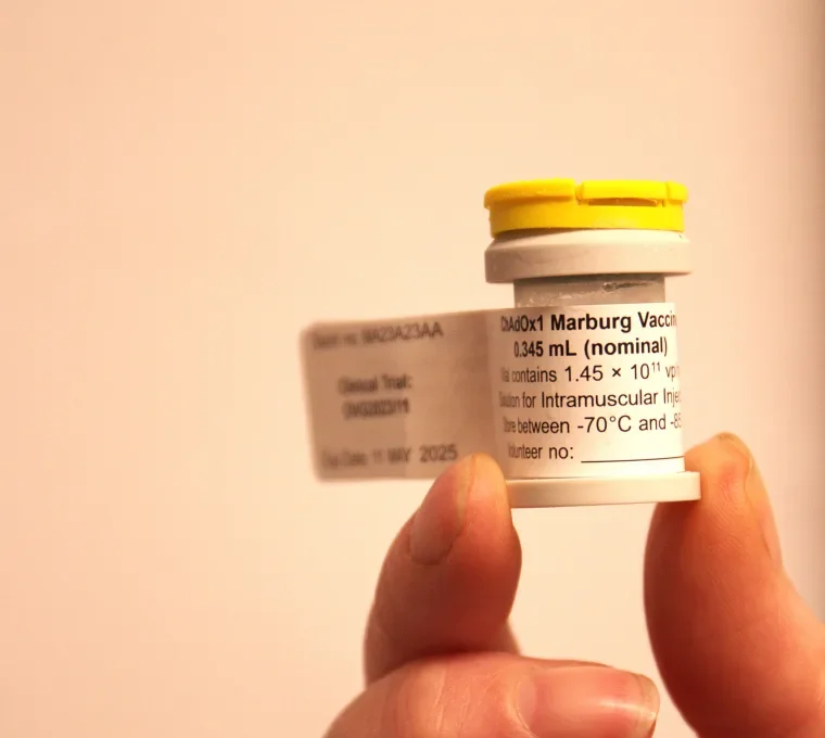 Marburg Vaccines