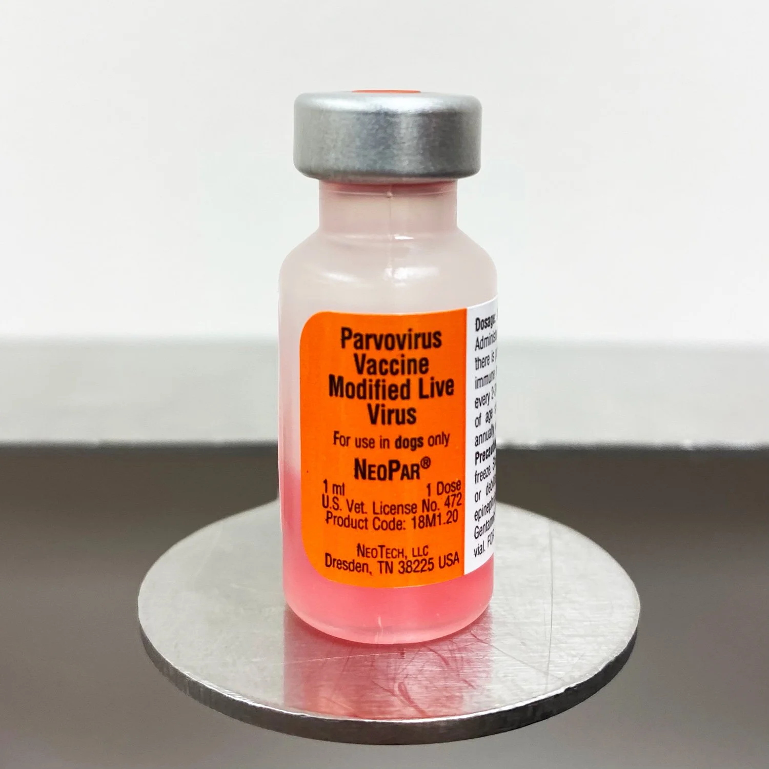 Parvovirus Vaccines