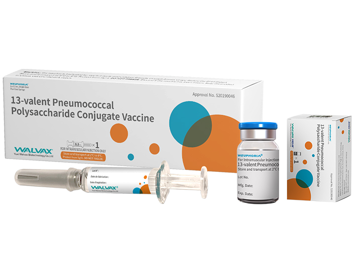 13-Valent Pneumococcal Polysaccharide Cojugate
