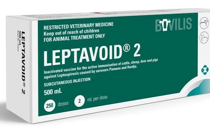 Leptavoid