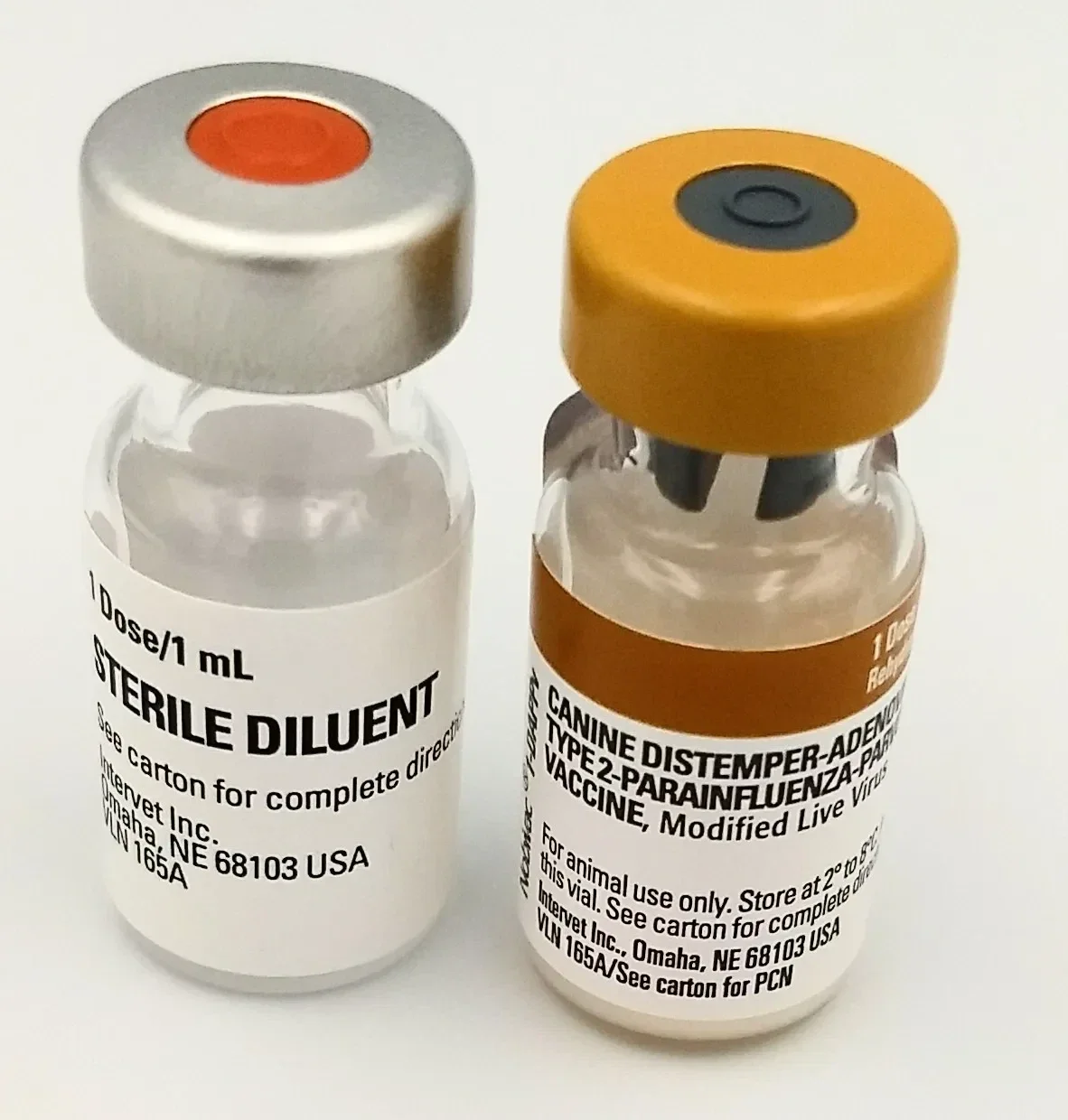 Puppy Vaccine Distemper