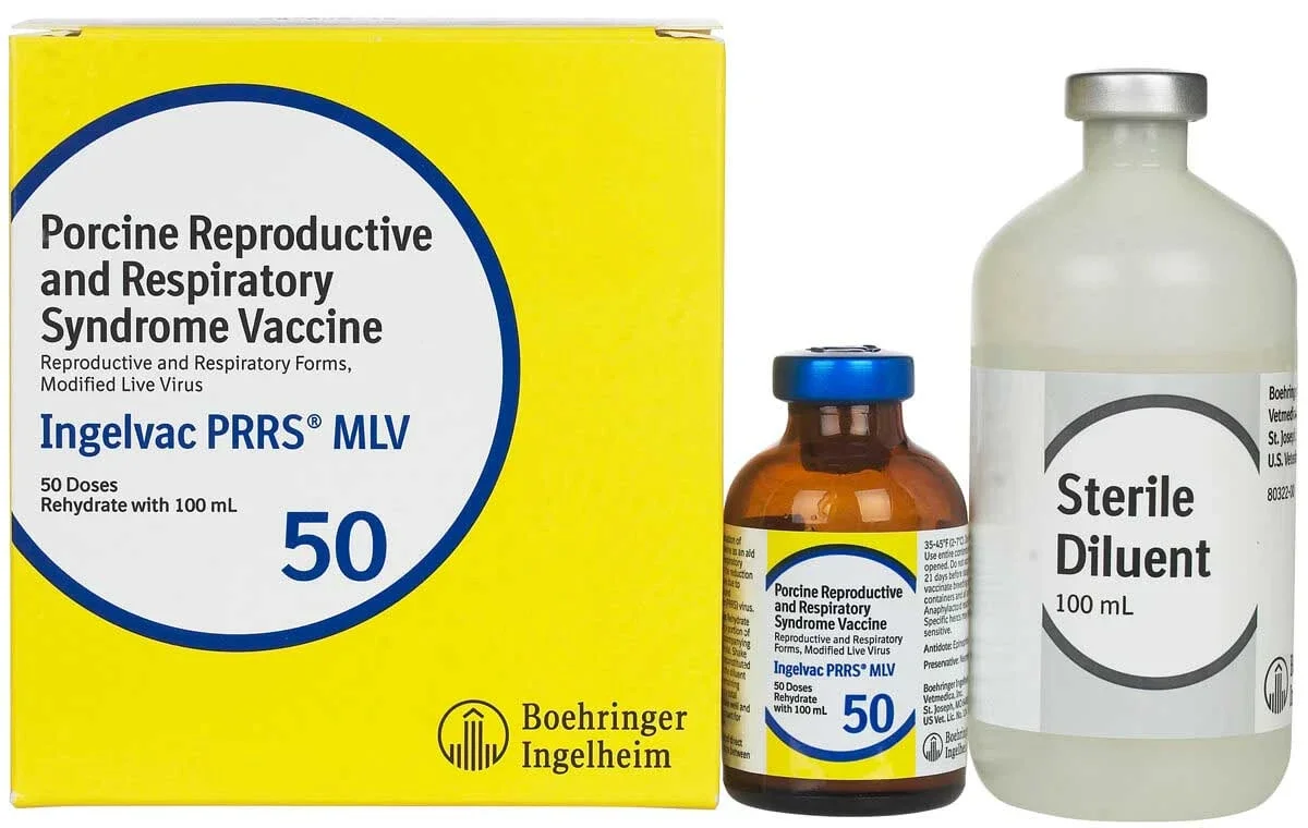 Ingelvac PRRS MLV Swine Vaccine