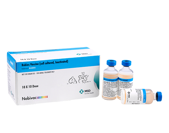 Nobivac-Rabies.webp