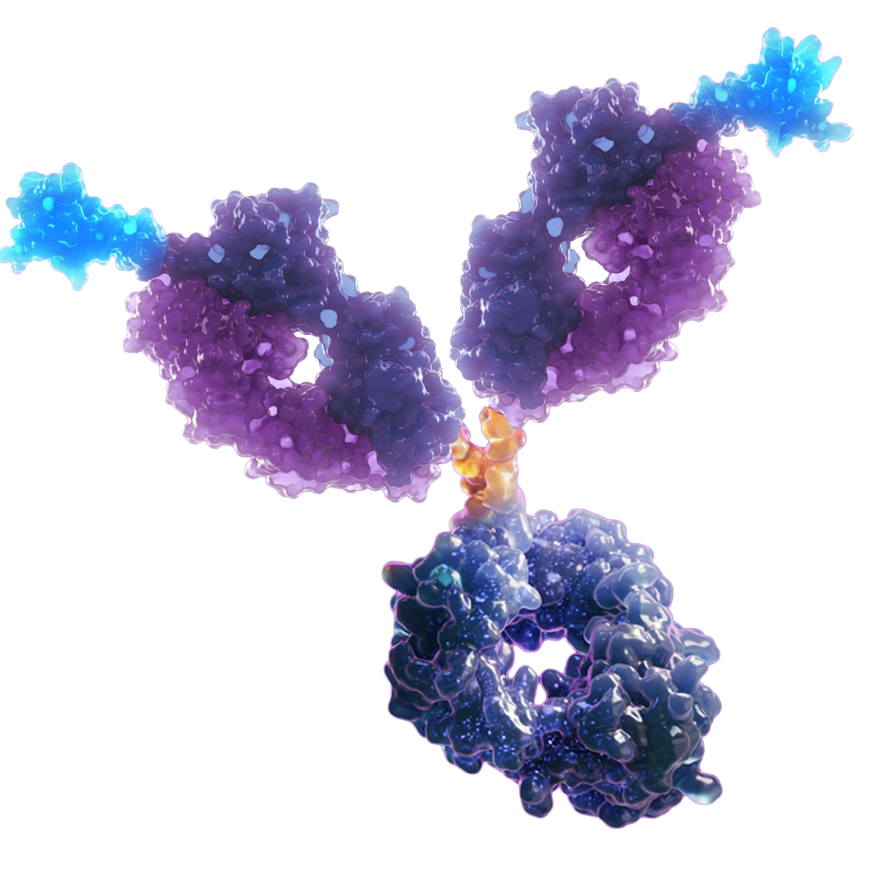 Antibody-OmniUltra.png
