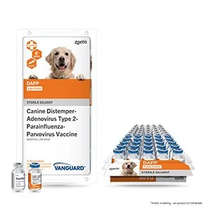 Canine Distemper