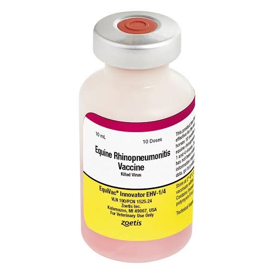 EquiVac Innovator EHV-1/4 Horse Vaccine