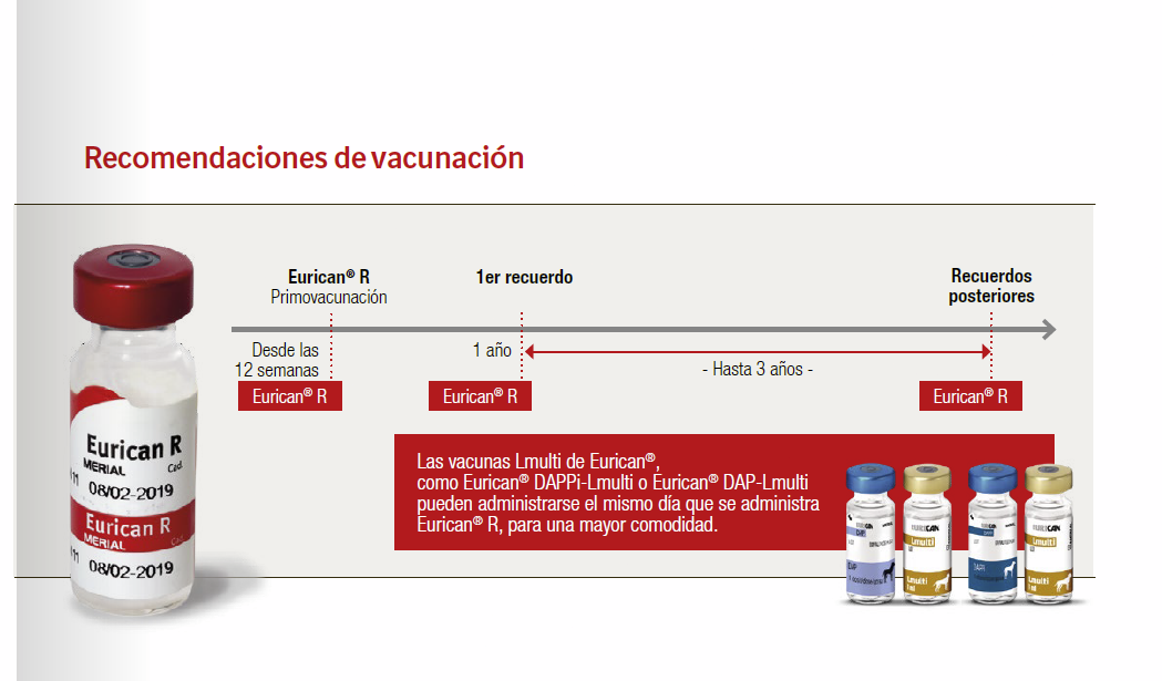 Eurican R