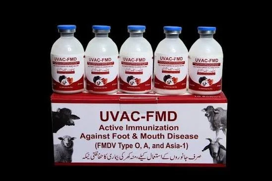 DRAP-approved oil-based Foot-and-Mouth Disease (FMD) vaccine