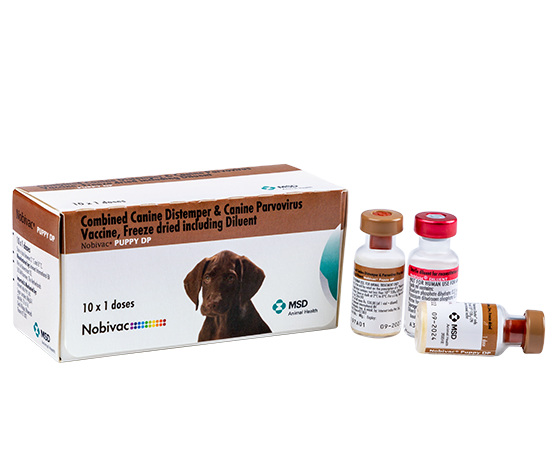 Nobivac® Puppy DPV