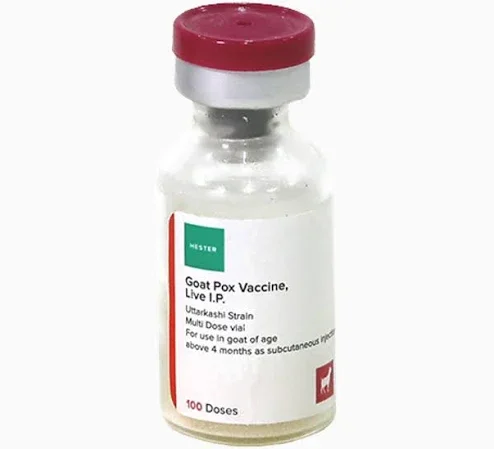 Sheep and Goat Pox Vaccines