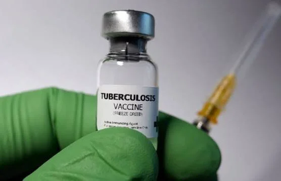 Tuberculosis Vaccine