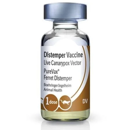 Distemper Vaccines